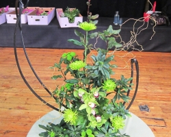 green-cropped
