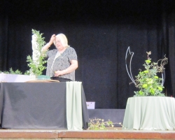 wide-view-cropped