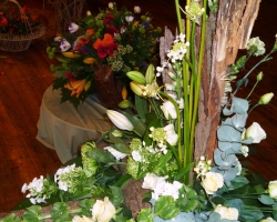close-up-white.jpg