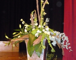 cropped-white.jpg