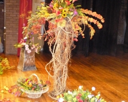general-stage.jpg