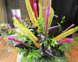 foxtail-lillies2