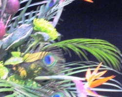 15-detil-in-bird-design