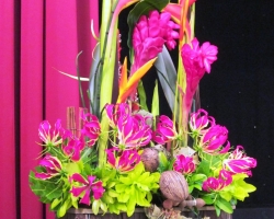 2-spice-design-2