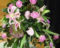pink-up-close.jpg