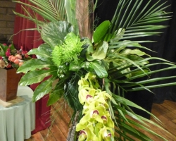 sml-orchid.jpg