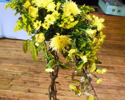 sml-yellow.jpg