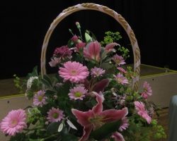 sw-pink