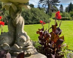 swiss gardens 1